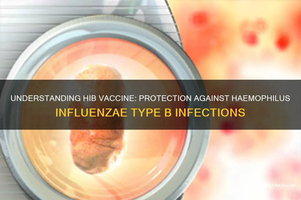 what disease does hib vaccine protect against