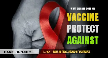 Understanding HIV Vaccines: Protection Against AIDS and Related Infections