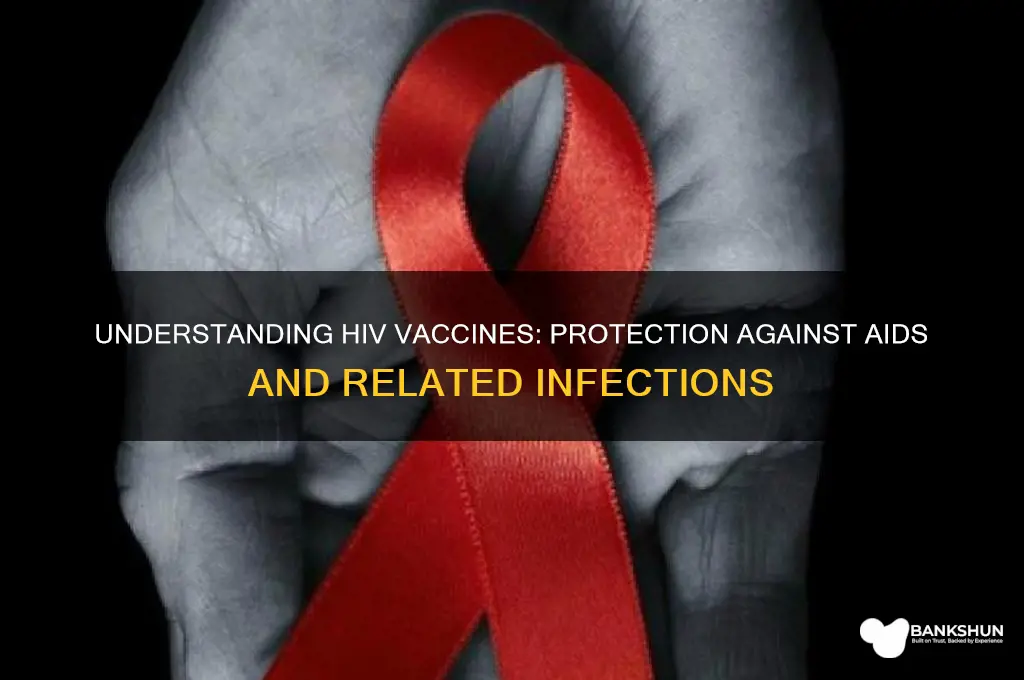 what disease does hiv vaccine protect against