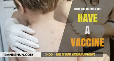 Unvaccinated Threats: Diseases Still Lacking Preventive Vaccines Today