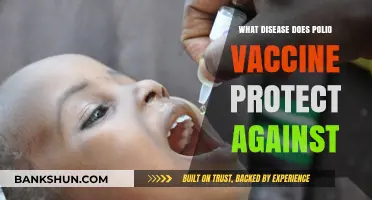 Polio Vaccine: Shielding Against Crippling Poliomyelitis and Its Complications