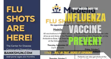 Understanding Influenza: How the Flu Vaccine Prevents Seasonal Illness