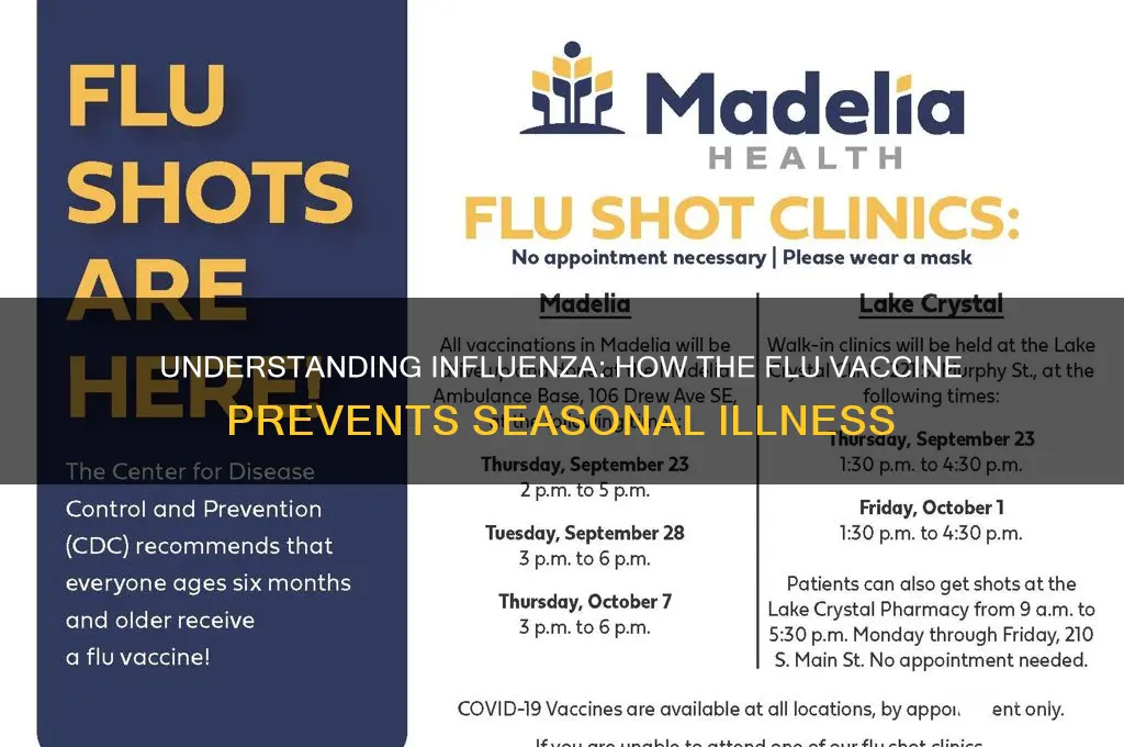what disease does the influenza vaccine prevent