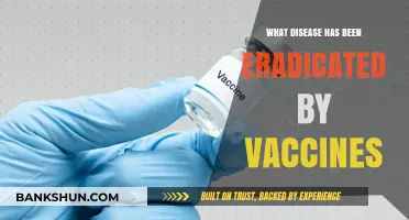 Vaccine Triumphs: Diseases Eradicated by Immunization Efforts Worldwide