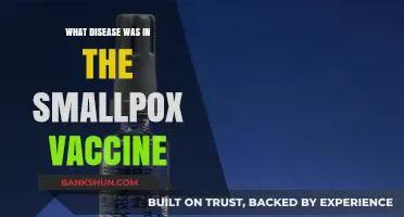 Unveiling the Truth: The Disease in the Smallpox Vaccine Explained