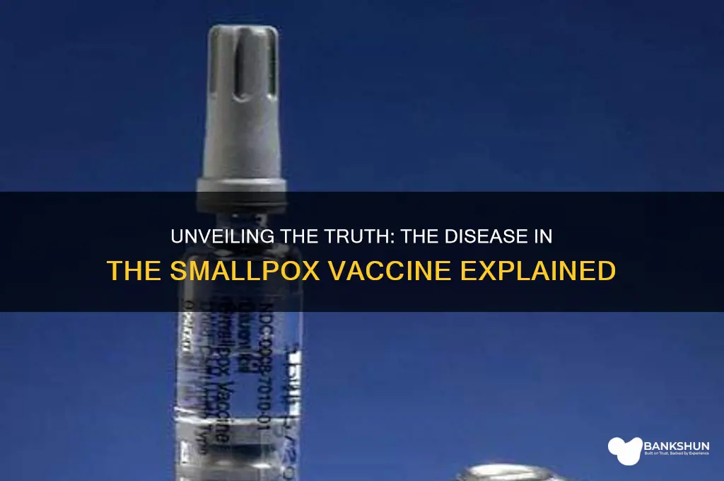 what disease was in the smallpox vaccine