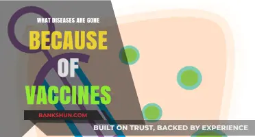Vaccines Eradicated: Diseases Eliminated Thanks to Immunization Success Stories