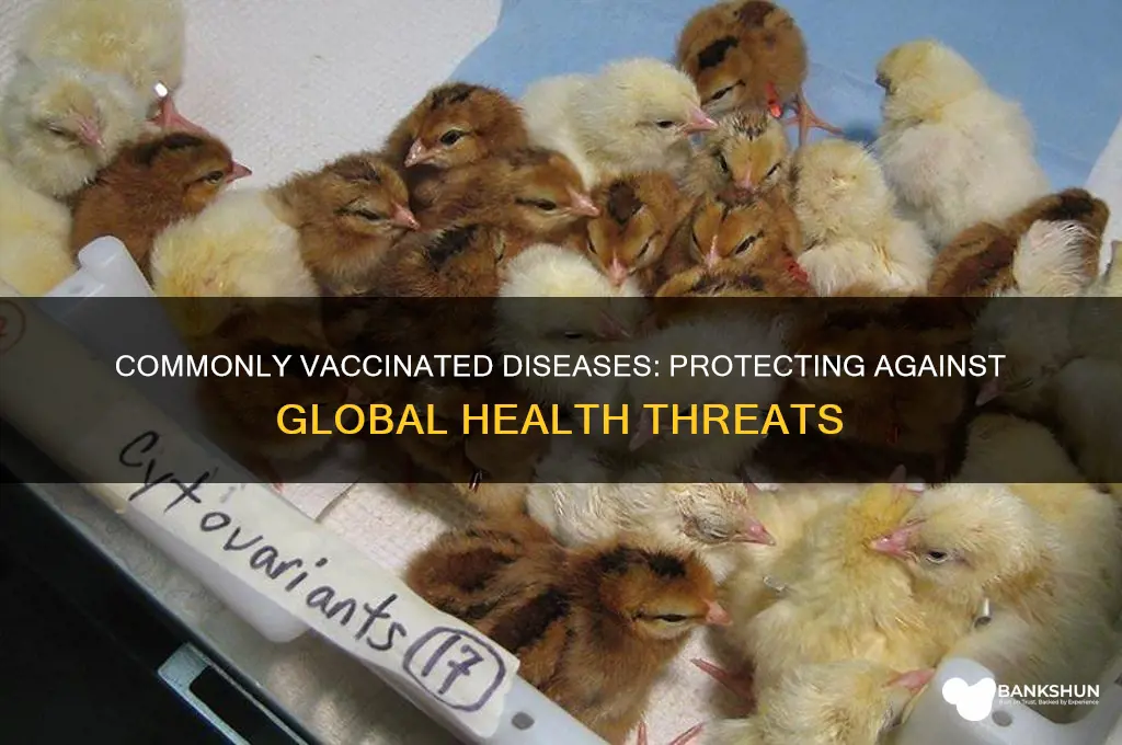 what diseases are most commonly vaccinated for