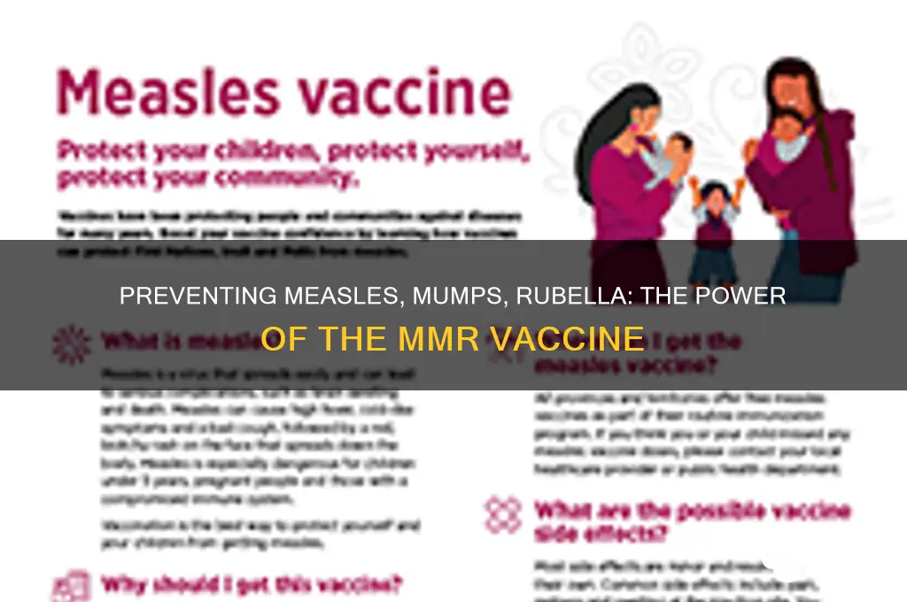 what diseases are prevented by mmr vaccine