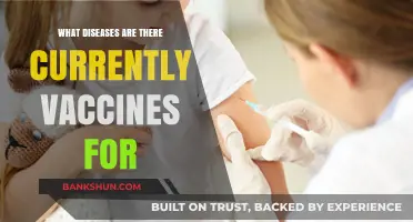 Vaccine-Preventable Diseases: A Comprehensive Guide to Current Immunizations