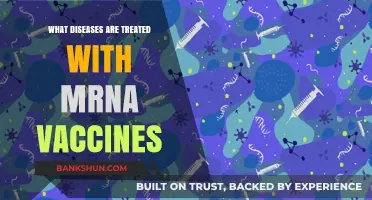 mRNA Vaccines: Revolutionary Treatments for Infectious Diseases and Beyond