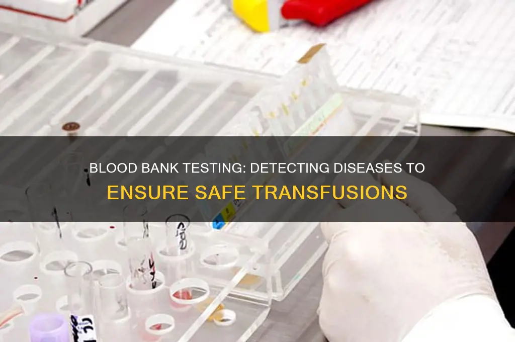 what diseases do blood banks test for