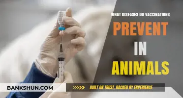 Essential Animal Vaccinations: Preventing Deadly Diseases in Pets and Livestock