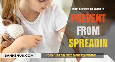Vaccines Prevent Deadly Diseases: A Comprehensive Guide to Immunization