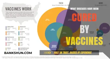Vaccines Triumph: Diseases Eradicated and Lives Saved Globally