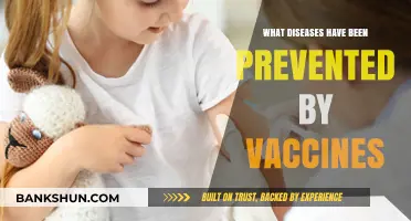 Vaccines: Preventing Deadly Diseases and Saving Lives Globally