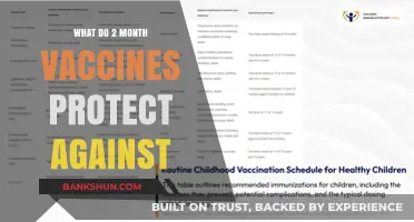 Essential 2-Month Vaccines: Shielding Infants from Serious Diseases Early