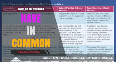 Unveiling the Shared Components and Mechanisms of All Vaccines