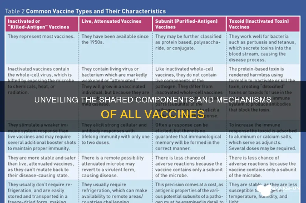 what do all vaccines have in common