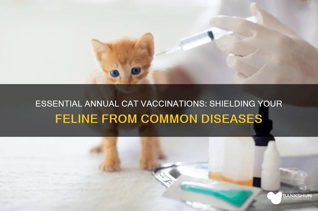 what do annual cat vaccinations protect against