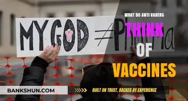 Unraveling Anti-Vax Beliefs: Understanding Their Vaccine Perspectives and Concerns