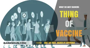 Understanding Anti-Vaxxers' Beliefs About Vaccines: Myths vs. Reality