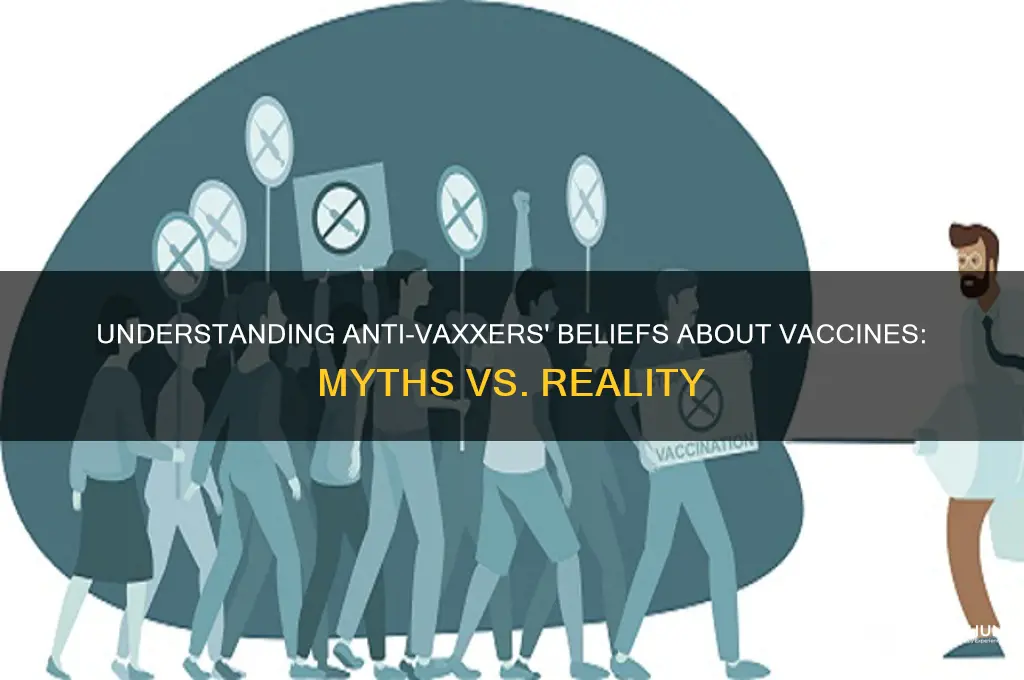 what do anti vaxxers thing of vaccine