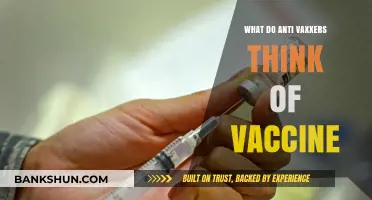 Unraveling Anti-Vaxxers' Beliefs: Their Perspective on Vaccines Explained