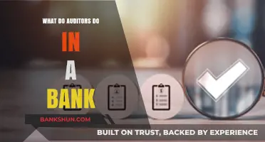 Bank Auditors: Unveiling Their Role in Financial Oversight and Compliance