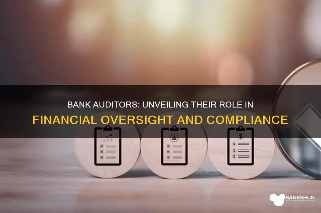 what do auditors do in a bank