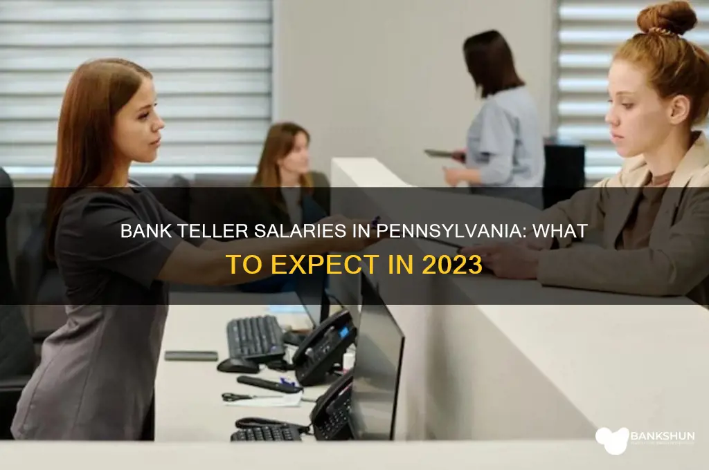 what do bank tellers make in pa