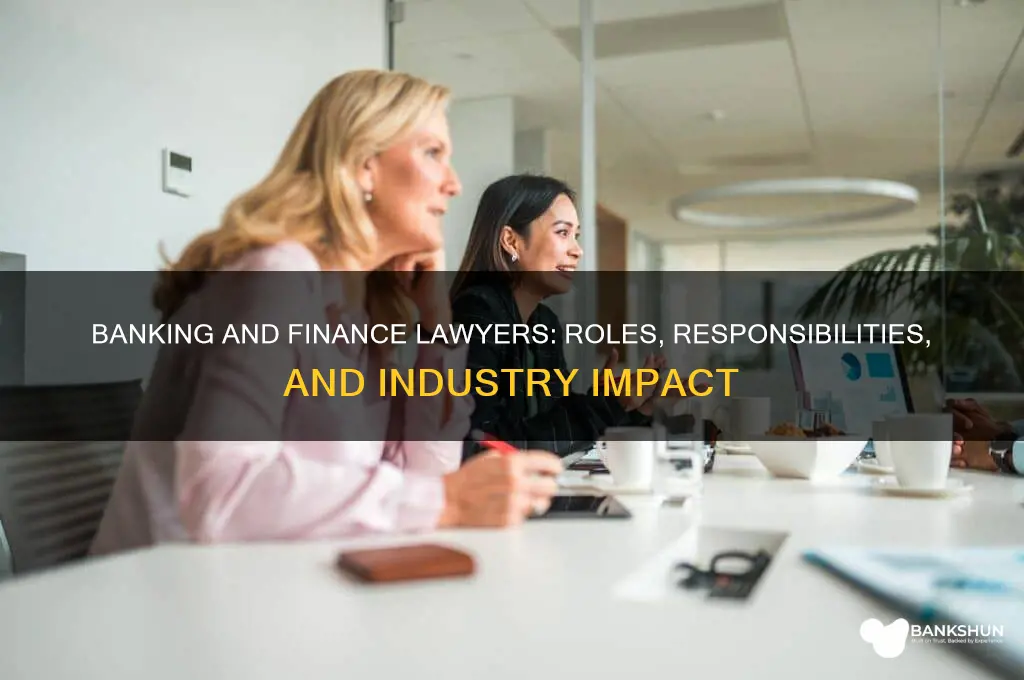 what do banking and finance lawyers do