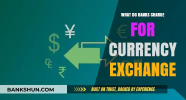 Understanding Bank Currency Exchange Fees: Hidden Costs and Charges Explained