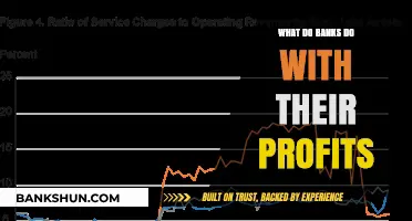 How Banks Utilize Their Profits: A Comprehensive Overview