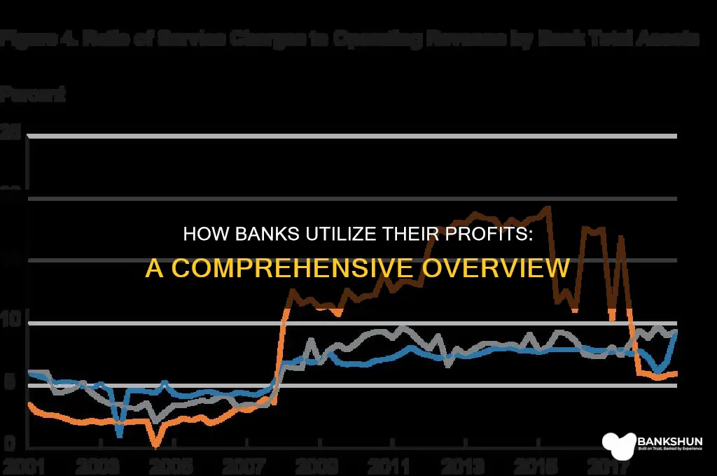 what do banks do with their profits