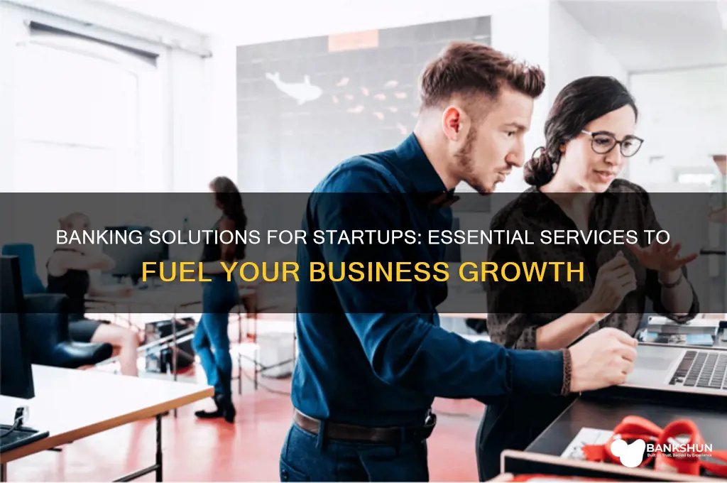 what do banks offer start up businesses