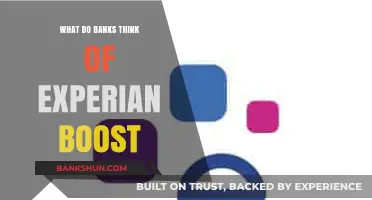 How Banks View Experian Boost: Insights and Implications