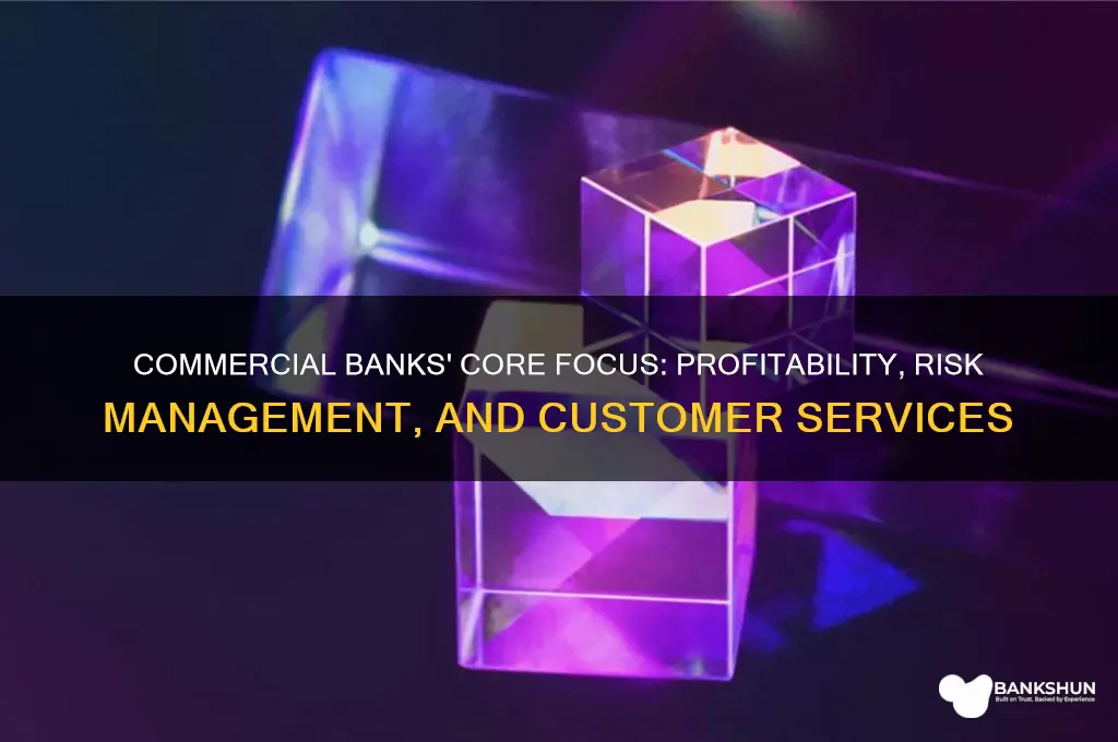 what do commerical banks primarily focus on