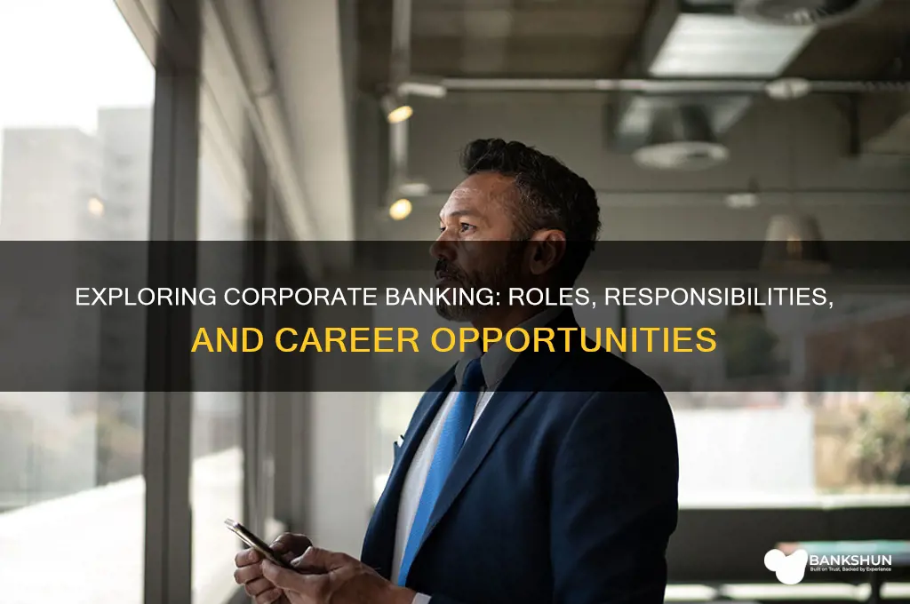 what do i do in corporate banking