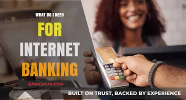Essential Tools and Requirements for Secure Internet Banking Access
