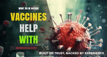 Exploring Mycobacterium vaccae Vaccines: Benefits and Health Applications