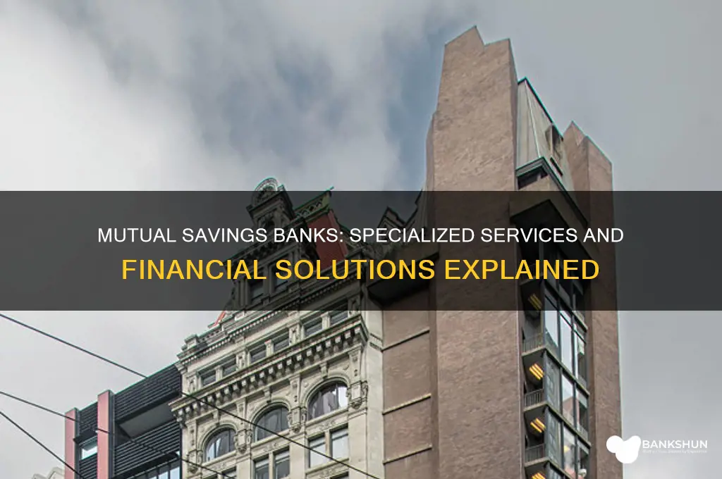 what do mutual savings banks specialize in