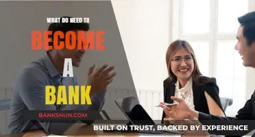 Essential Steps and Requirements to Establish a Successful Bank