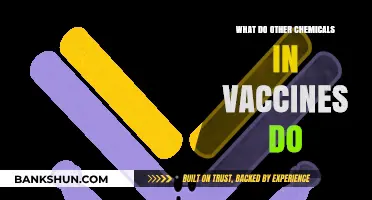 Unveiling the Role of Additional Chemicals in Vaccine Formulations