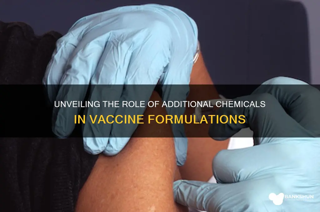 what do other chemicals in vaccines do