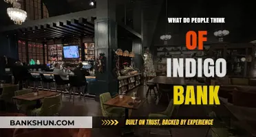 Indigo Bank Reviews: Public Opinions, Experiences, and Overall Reputation
