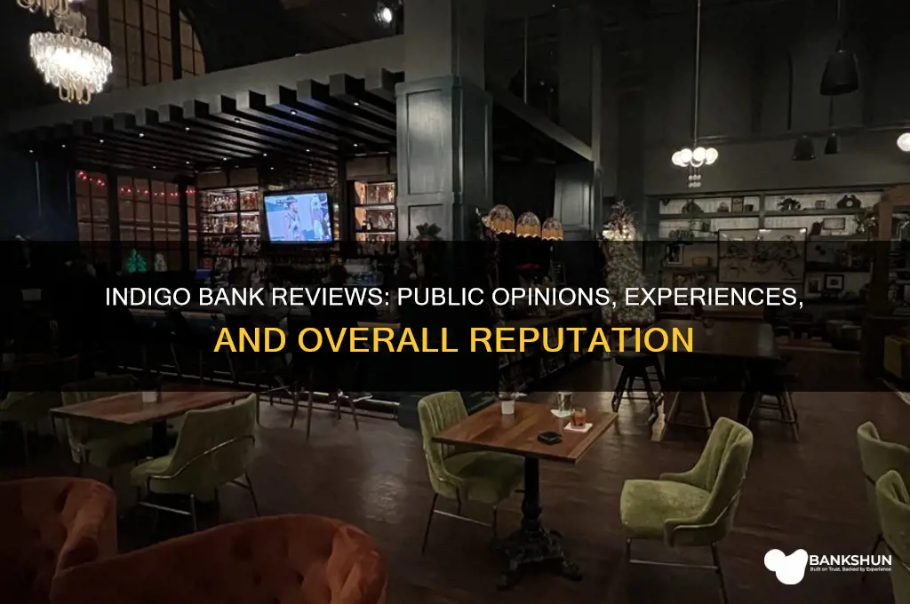 what do people think of indigo bank