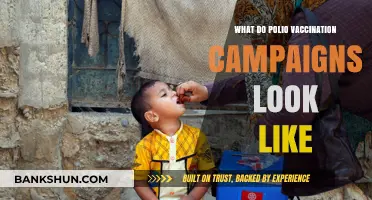 Understanding Polio Vaccination Campaigns: Strategies, Impact, and Global Efforts