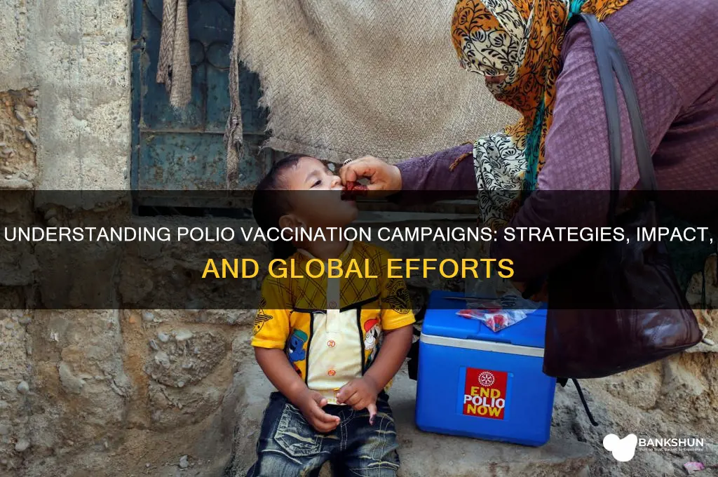 what do polio vaccination campaigns look like