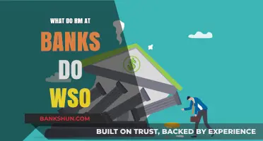 Understanding Risk Management Roles in Banking: A WSO Guide